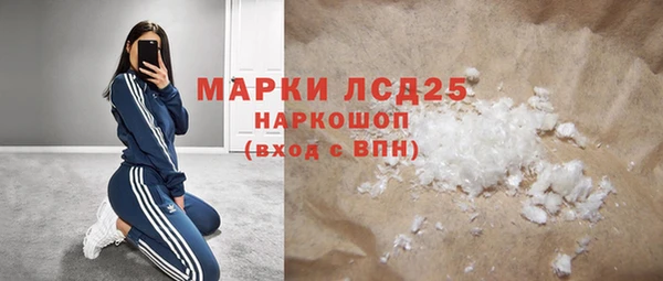 индика Арсеньев