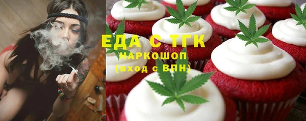 индика Арсеньев