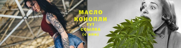 индика Арсеньев