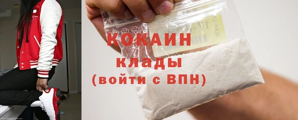 индика Арсеньев