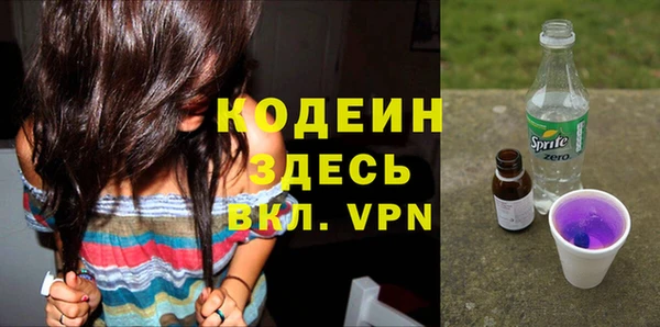 индика Арсеньев