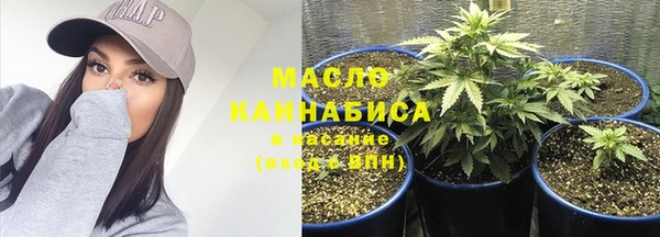 индика Арсеньев