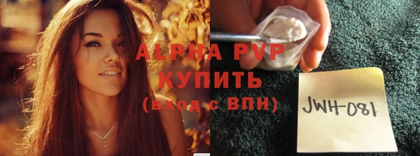 индика Арсеньев