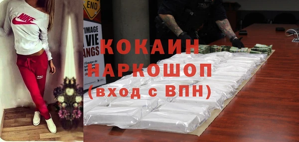 индика Арсеньев