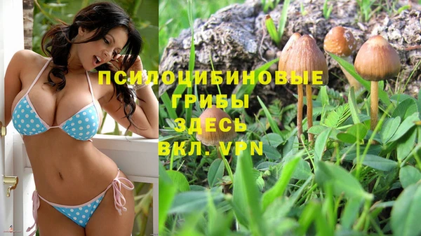 экстази Армянск