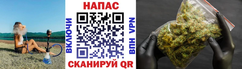 гидра сайт  Рыльск  Каннабис сатива 